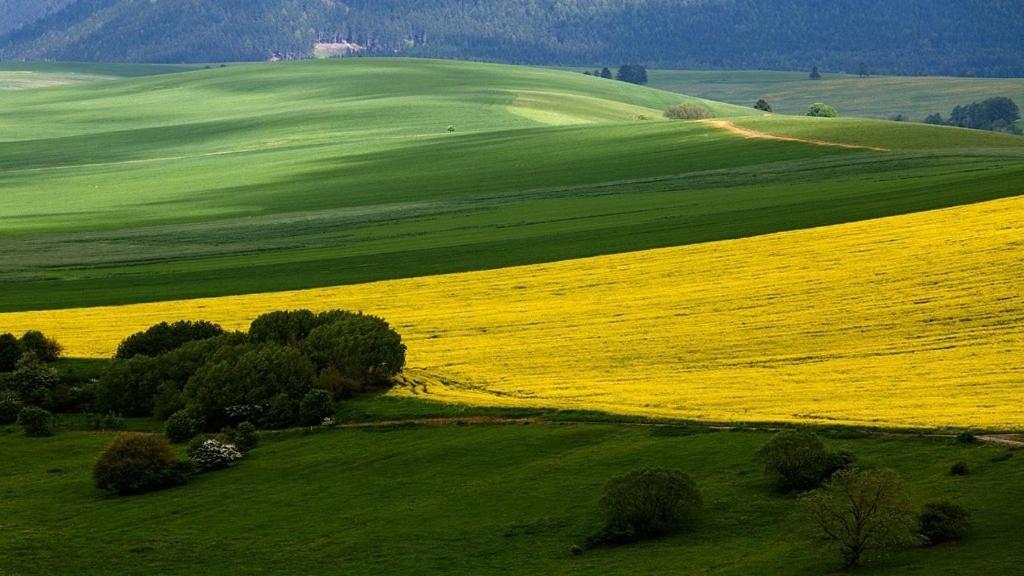 Отель Penzion Mlynarov Dvor Dubrava Экстерьер фото